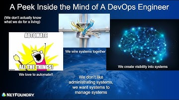 Why Every DevOps Engineer Should Be Using Ziti