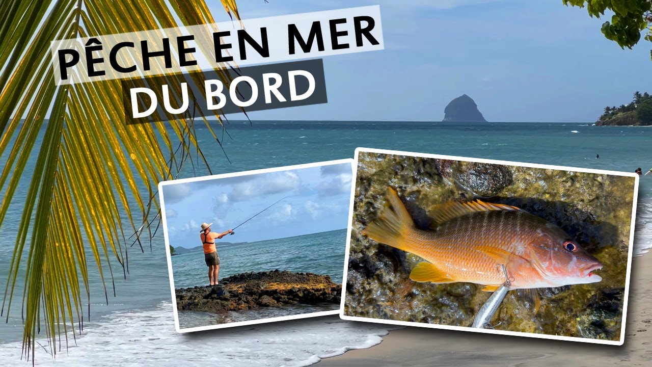 1 CANNE, 1 LEURRE DES POISSONS ? Que pêche-t-on en mer des