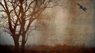 The Warning of the Ravens Book Trailer