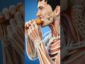 What Happens to Your Body When You Eat Chicken | #shorts  #viral  #trending