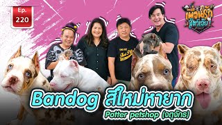 เพื่อนรักสัตว์เอ๊ย I Bandog สีใหม่หายาก Ep.220