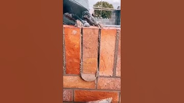 this is the easy way to install red bricks #shorts