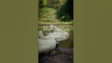 لا إكراه في الدين قد تبين الرشد من الغي #القرآن_الكريم #سورة_البقرة #أحمد_خضر