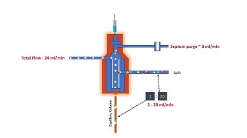 split/splitless injection