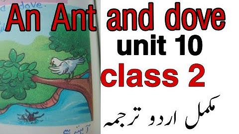 SNC ENGLISH GRADE 2| UNIT 10 | An Ant and a dove | Reading + Translation | New syllabus #ptb