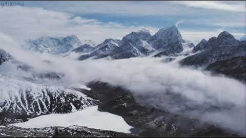 تلاوة مباركة من آيات الذكر الحكيم