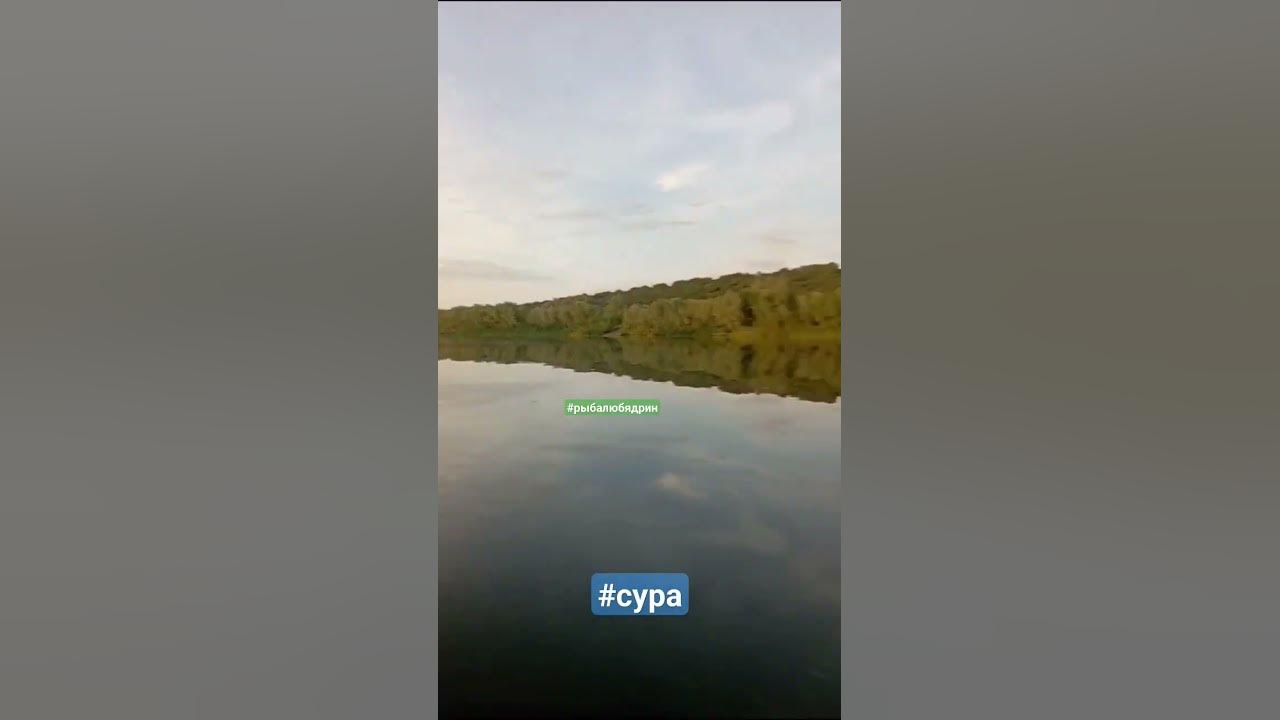 Такси Ядрин номера телефонов 4 дешевых такси