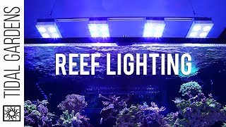 The Deep Dive into Reef Aquarium Lighting
