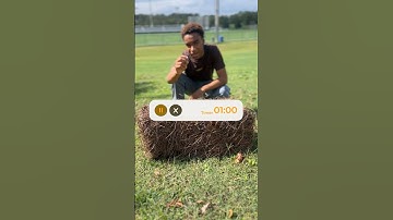 Can You Find a Needle In A Haystack?