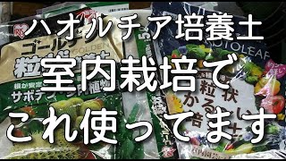 【ハオルチア培養土】室内栽培で上手くいっている培養土を紹介します。ブレンド用土で上手くいかない方は試す価値あります。Haworthia　多肉植物　Succulents　ガーデニング　観葉植物