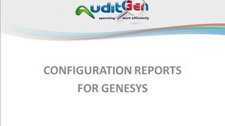 AuditGen: Configuration Reports for Genesys Platforms