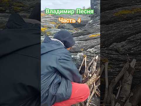Владимир Песня / Летний Дождь #шортс #shorts ##летнийдождь