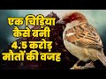 इतिहास की सबसे भयानक गलती | Biggest mistake in history in Hindi | Great Sparrow Campaign in China