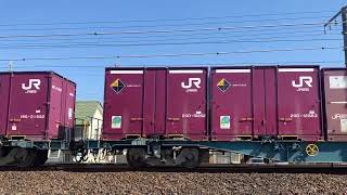 偶には横からのアングルで！［EF65-2067+コキ20B］【5087レ】