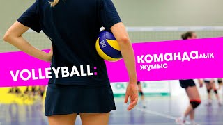 VOLLEYBALL: маңыздысы командалық жұмыс I СПОРТLIFE