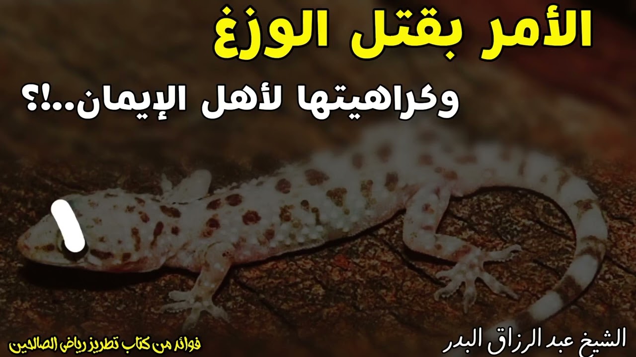 الأمر بقـ ـتل الوزغ وكـ ـراهيتها لأهل الإيمان..!؟ الشيخ عبد الرزاق البدر حفظه الله