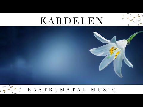 Kardelen | Enstrumantal Fon Müziği 2022  (Ney & Gitar )  Instrumental Turkish Music
