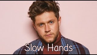Niall Horan - Slow Hands - With Lyrics