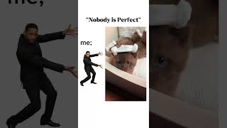 Cute Cats Being Perfect