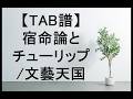 【ギターTAB譜】宿命論とチューリップ/文藝天国 (guitar copy)
