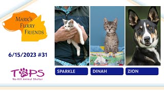 Mark&#39;s Furry Friends #131 | 06/15/2023 | Sparkle, Dinah and Zion