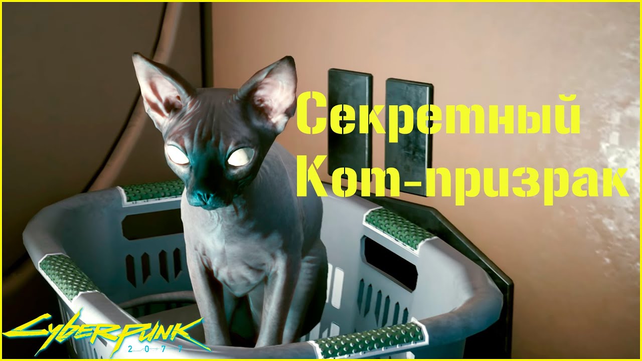 Cyberpunk корм для кота фото 23