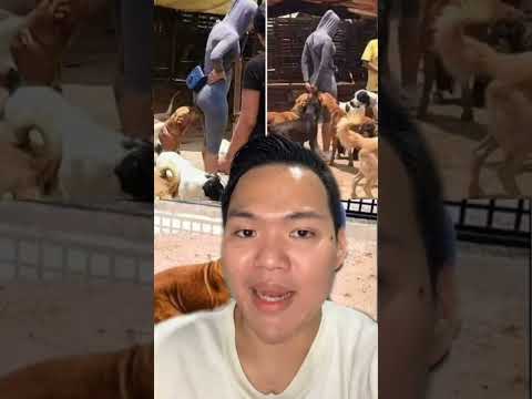 Video: Mengapa anjing mencium selangkanganmu?