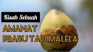 KISAH SEBUAH KELAPA MUDA, AMANAT EYANG PRABU TADJIMALELA