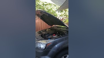 SsangYong Action Sport Oil Filter Location