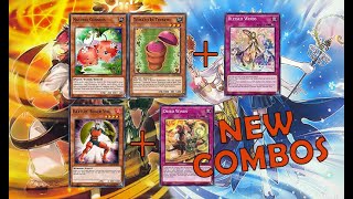 Aromage's New Combos! Ft Battlin' Boxer Veil, Naturia Cherries, and Tomato In Tomato
