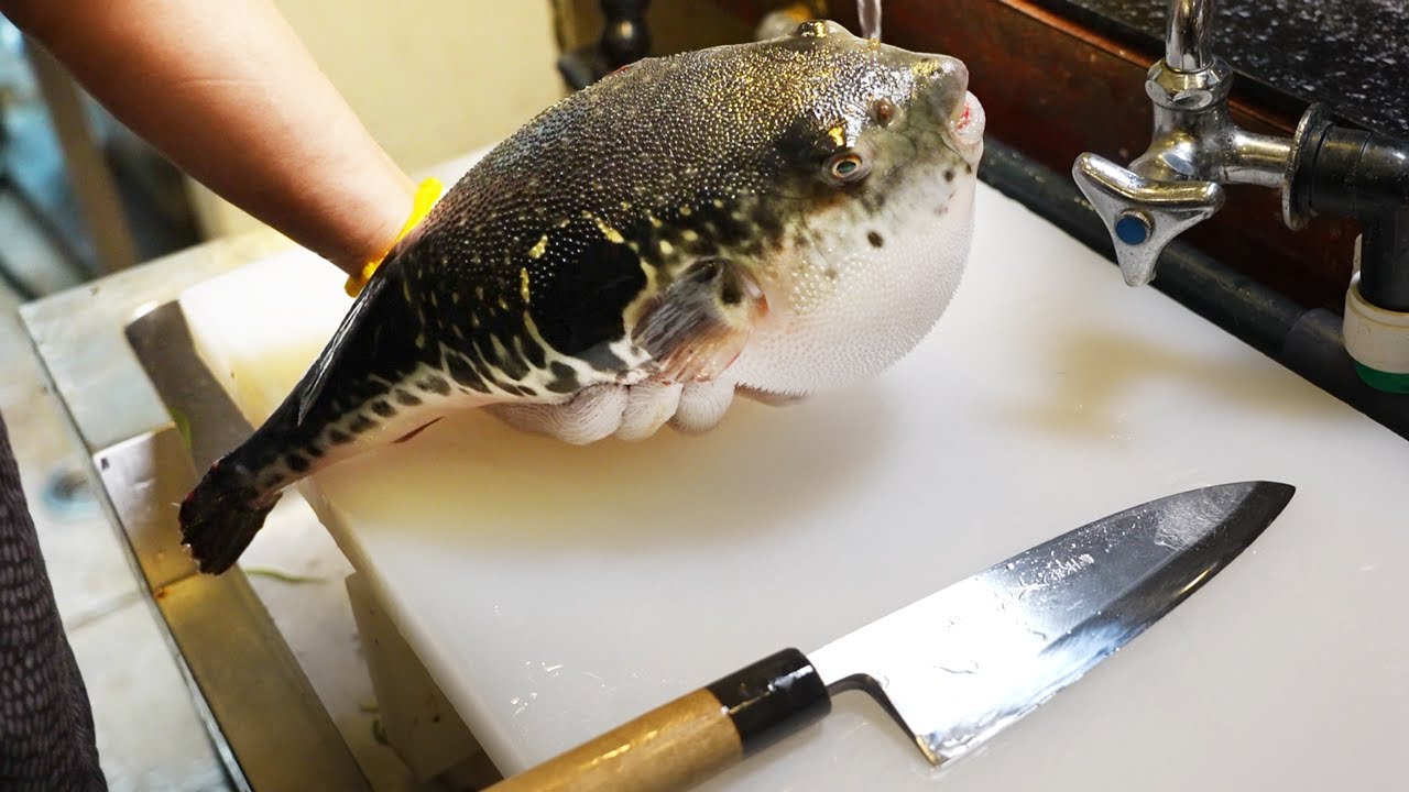 【早業】気持ちよすぎる職人のフグ捌き！そして、フグ料理フルコースを爆食！