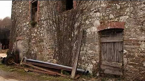 Providing a home for Barn Owls