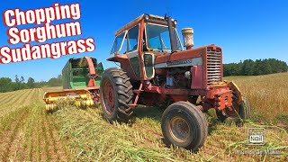 Chopping Sorghum-Sudangrass/Filling an Upright Stave Silo