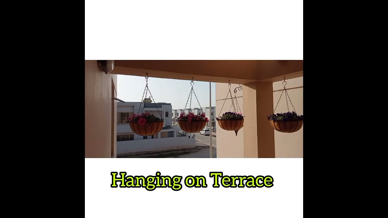 Flower Hanging Baskets Metal frame with coco liner by GEP