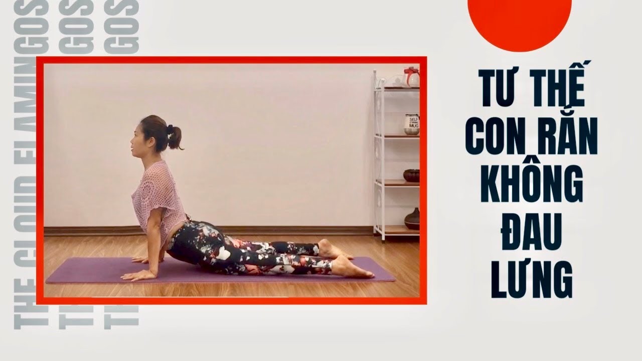 ️ Yoga Cơ Bản/ Tư Thế Con Rắn Không Đau Vai, Đau Lưng/ snake pose/Phạm ...