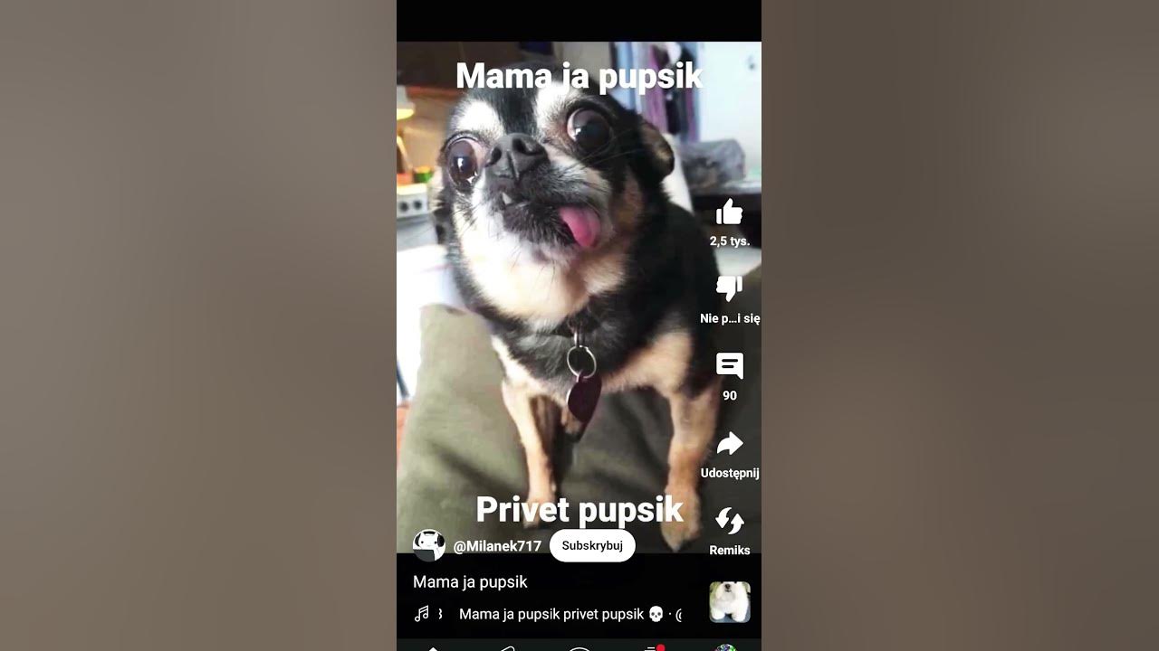 MAMA JA PUPSIK! - YouTube