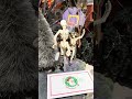 Department 56 Halloween Village Alley-OOP! Figure 6018421 + Bones Double Dutch Figure 6018420