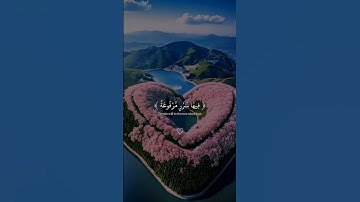 في جنة عاليه   القارئ  عبدالرحمن مسعد ♥🥺😊