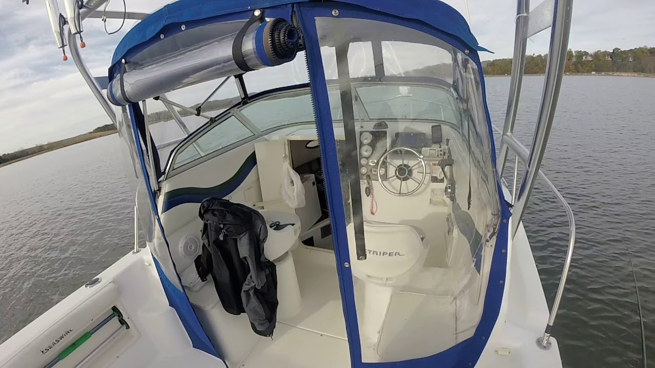 Hudson River Schoolies fall Run 2017