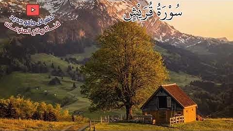 تلاوة للشيخ نجيب الشرعبي حفظه الله