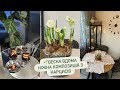 Весняне оновлення Композиція з нарцисів Spring Home Refresh