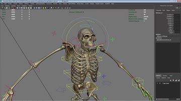 Kong Skeleton Maya Rig - video demo