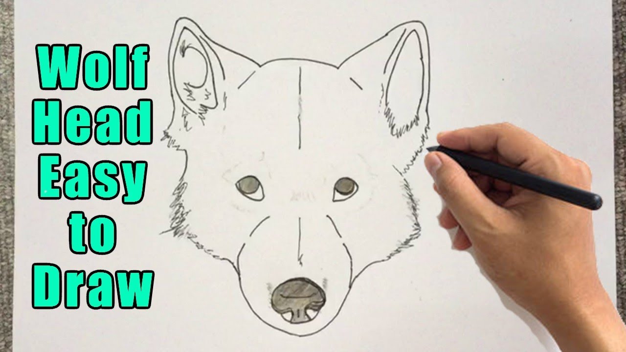 How To Draw A Wolf Head Drawing Easy Outline Wolf Head Front View Step By Step Sketch Youtube