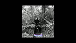 Seven Adam Kiskanirr