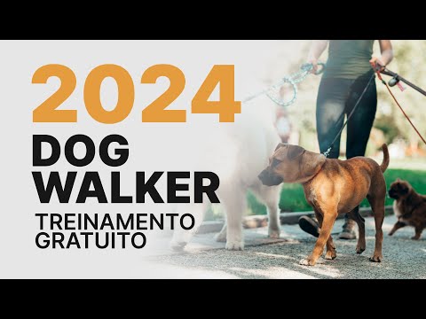 Vídeo: Dog Walking: O que todo dono de cachorro deve fazer (mas provavelmente não)