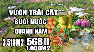 Chị tiên giảm giá bán gấp, vườn đủ loại trái cây, suối nước quanh năm, bình lộc Long Khánh