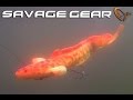 Savage Gear 3D Burbot video