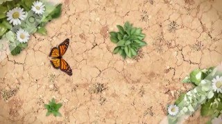Курсы по английскому Курсы по английскому