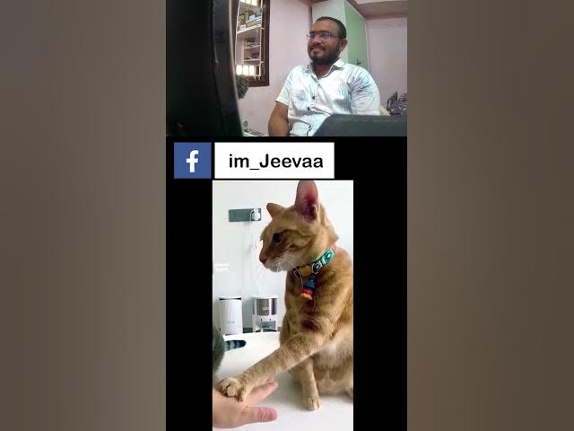 Tamil Reels Reaction Video @im_jeevaa
