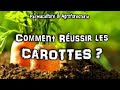 COMMENT SEMER & RÉUSSIR LES CAROTTES AU JARDIN POTAGER EN PERMACULTURE + MES ASTUCES